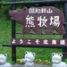 登别熊牧场