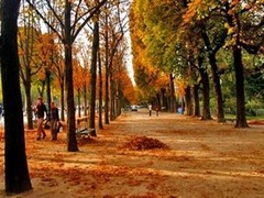 香榭里舍大道图片