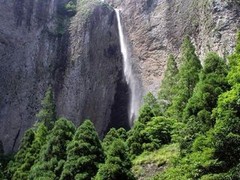 大龙湫图片