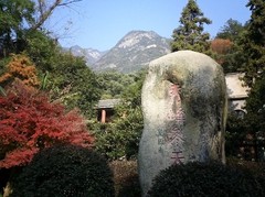 秀峰参天