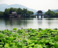 夏日西湖