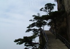 高空栈道