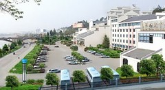 黄山松精神图片