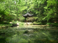 虎跑梦泉图片