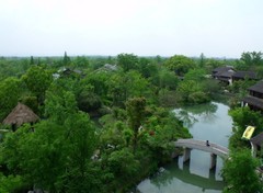 西溪湿地图片