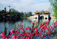 瘦西湖图片
