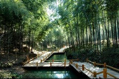 溧阳南山竹海图片