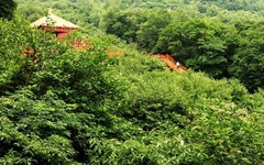 祖山风景区图片