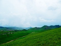 坝上草原图片