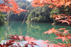 中关村图片