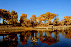 南疆喀什自助旅游几月去最好_喀什旅游可以看